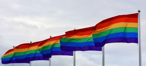 Bandeiras LGBTQIA+